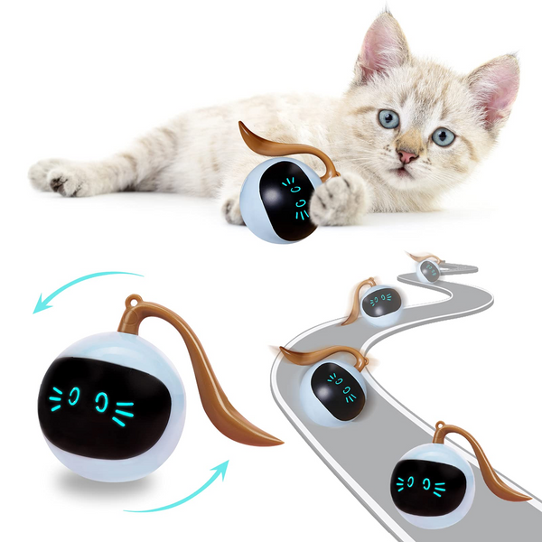 Interactive Cat Ball Toy